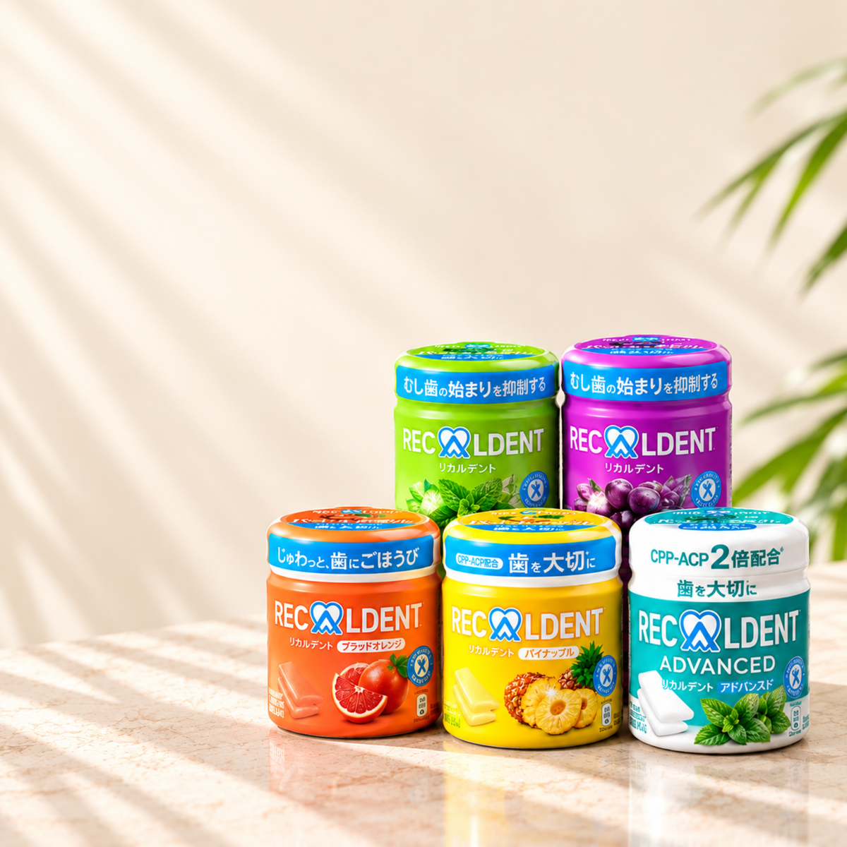 Recaldent Flavour Mix Pack