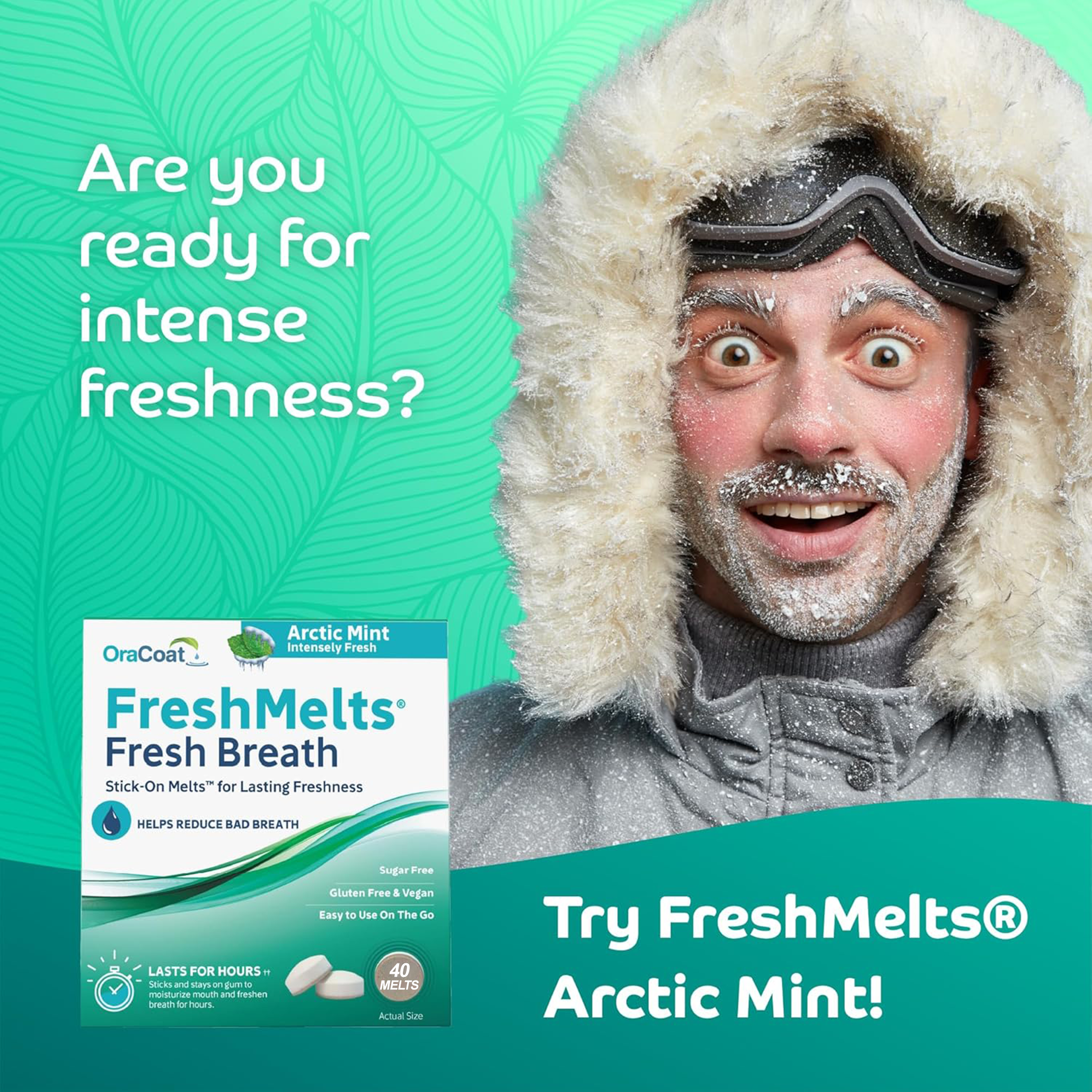 XyliMelts - FreshMelts Arctic Mint